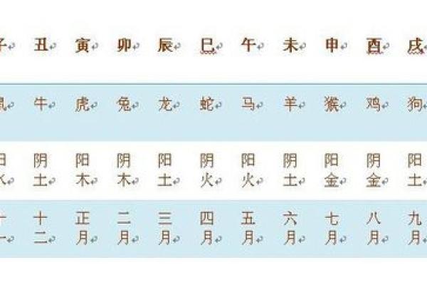 2003正月十七的命运解析:探秘天干地支的奥秘与人生轨迹 2003正月十七的命运解析:探秘天干地支的奥秘与人生轨迹