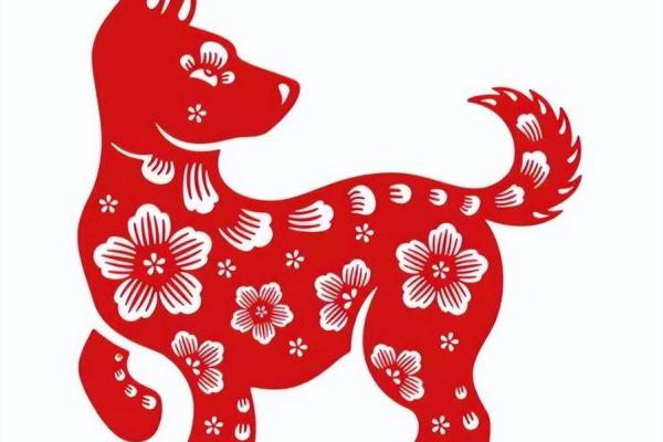 1994年出生的女性属狗,命理解析与人生运势展望 1994年出生的女性属狗,命理解析与人生运势展望