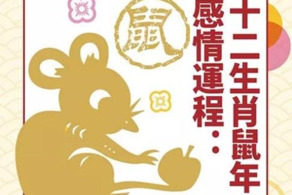 2008年属鼠的命格分析:探索灵动与智慧的结合 2008年属鼠的命格分析:探索灵动与智慧的结合