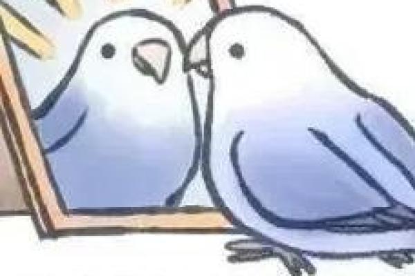 蛤蟆腚的命运:从小角色到意外的成功者 蛤蟆腚的命运:从小角色到意外的成功者