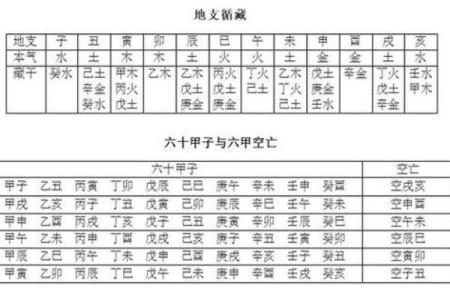 主命与副主命的区别与运用，揭示命理的奥秘