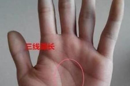 揭秘桃花命：爱情与命运的奇妙关系