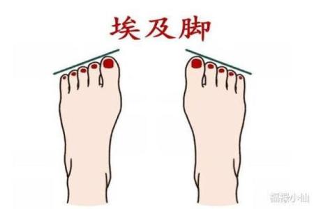 脚是富贵命，揭秘命理之美与人生的秘密