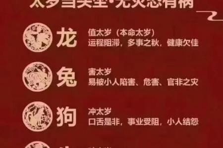 2024年属龙的人命运与生活：探索属于你的辉煌之路