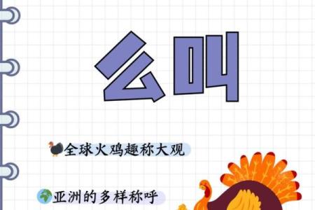 火鸡的颜色偏好：了解火鸡喜爱的色彩世界！