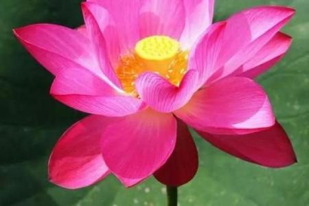 88年秋冬出生，掌握命运的钥匙在你手中！