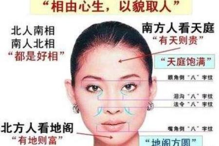 揭秘鼻孔大的人的命运与性格奥秘，带你了解隐藏在面相中的人生密码！