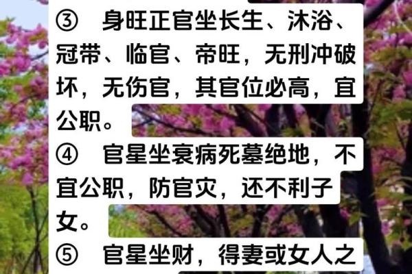 探索命理奥秘:金木水火命适合之年龄段详解 探索命理奥秘:金木水火命适合之年龄段详解