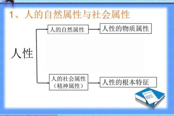 解析申时出生男性的命格特征与人生轨迹 解析申时出生男性的命格特征与人生轨迹