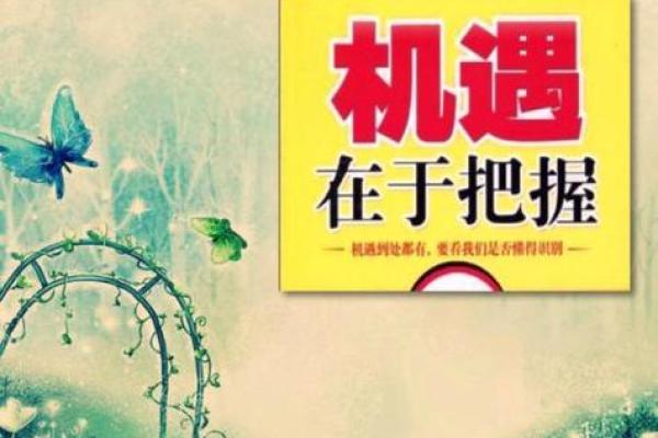 2016年的命运解读：不同命格如何把握机会与挑战