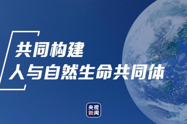 夫妻命理:探寻两人命运的奥秘与和谐之道 夫妻命理:探寻两人命运的奥秘与和谐之道