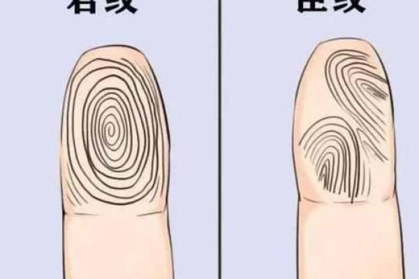 96年女生命运解析:揭示她们的人生轨迹与性格密码 96年女生命运解析:揭示她们的人生轨迹与性格密码