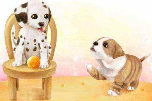 属狗人的命运之谜:为何狗年出生命运多舛? 属狗人的命运之谜:为何狗年出生命运多舛?