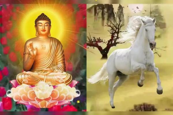 解密1996年属马人的命运与人生轨迹 解密1996年属马人的命运与人生轨迹