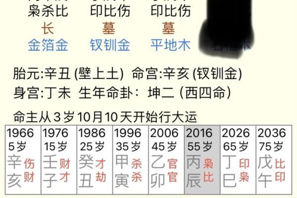 女命的命理智慧:揭秘八字中哪个符号代表父亲 女命的命理智慧:揭秘八字中哪个符号代表父亲