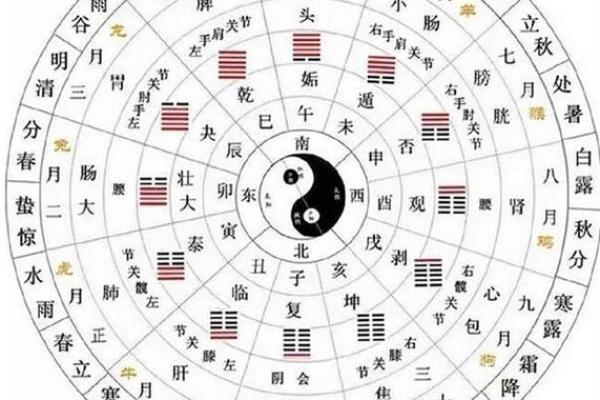 70年属什么生肖?探秘1970年出生人的命运与性格特点 70年属什么生肖?探秘1970年出生人的命运与性格特点