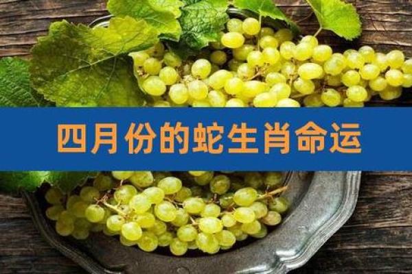 2001属蛇人的命运解析:寻找内心的智慧与力量 2001属蛇人的命运解析:寻找内心的智慧与力量