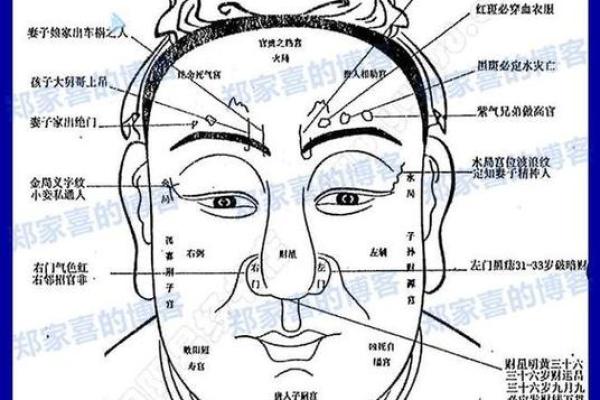 通过面相学看男女命运的差异与影响,揭示你该如何解读面相! 通过面相学看男女命运的差异与影响,揭示你该如何解读面相!
