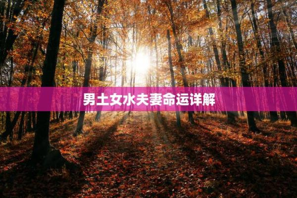 2022年水命的命理分析与生活建议,让你把握好运与未来 2022年水命的命理分析与生活建议,让你把握好运与未来