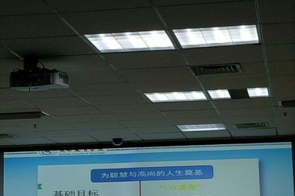 1995年5月25日出生的人命运与性格特征的解析 1995年5月25日出生的人命运与性格特征的解析