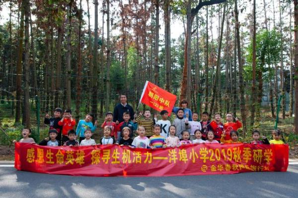 探索木命:生命中的生机与活力 探索木命:生命中的生机与活力