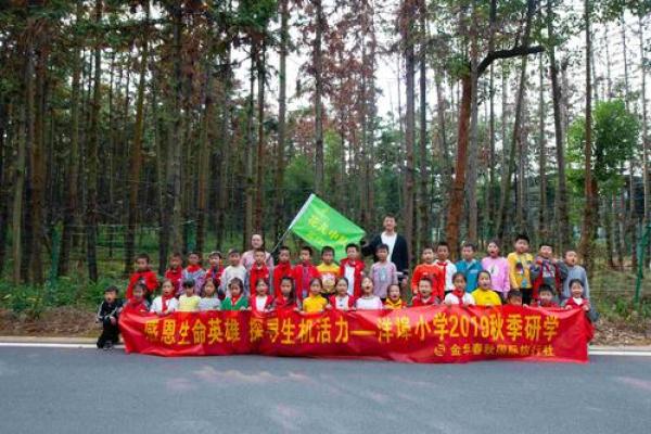 探索木命:生命中的生机与活力 探索木命:生命中的生机与活力