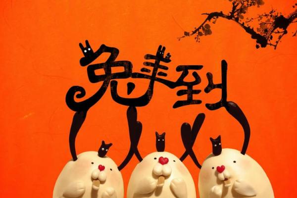 1995年的生肖解析与人生启示:如何在兔年中追求梦想与幸福 1995年的生肖解析与人生启示:如何在兔年中追求梦想与幸福