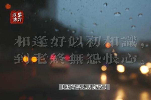 女命壬寅:浪漫与智慧的结合之旅 女命壬寅:浪漫与智慧的结合之旅