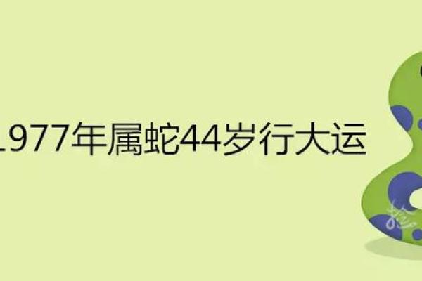 1977年属蛇人命理分析：缺什么、得什么、如何弥补