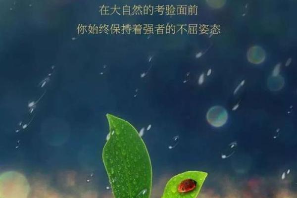 命系悬壶:生命的选择与中医药的智慧交汇 命系悬壶:生命的选择与中医药的智慧交汇