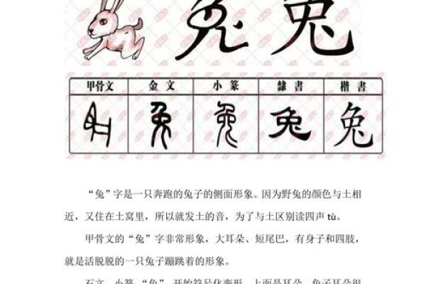 75兔的命理解析:属金还是属火的深度探索 75兔的命理解析:属金还是属火的深度探索