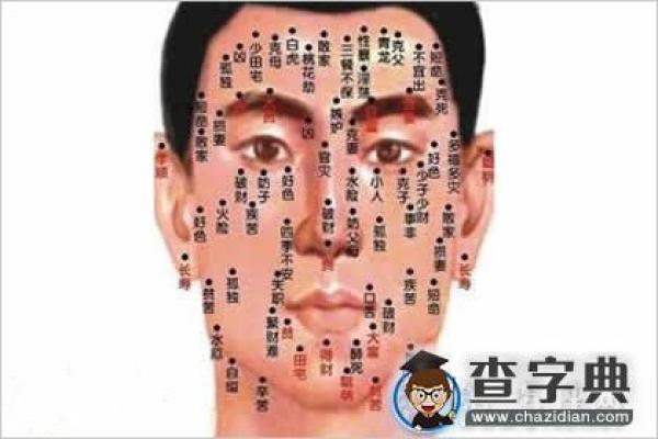 相面知识：苕帚眉所代表的命运解析与人生启示