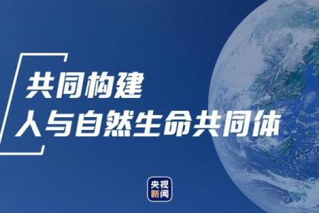 夫妻命理：探寻两人命运的奥秘与和谐之道