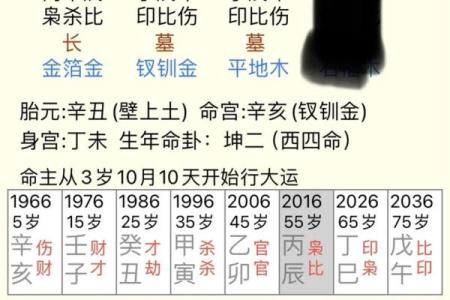 女命的命理智慧：揭秘八字中哪个符号代表父亲