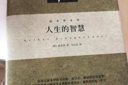 佛教视角：寡妇命运与人生智慧的解读