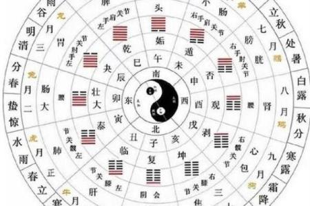 70年属什么生肖？探秘1970年出生人的命运与性格特点