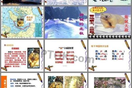 探索耳什么命成语的奥秘与魅力