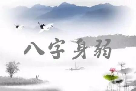 探索土命与木命的五行缺失：寻找平衡与协调之道