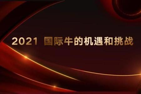 2009年：牛年带来的机遇与挑战