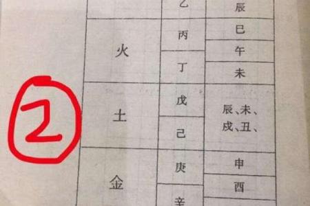 水命八字解析：适合选择的大学专业推荐与分析