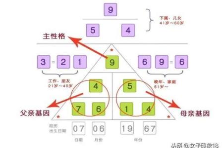 阴历1995年出生的命运解析：寻找你的生命密码