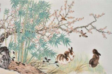 75兔的命理解析：属金还是属火的深度探索