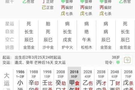 1983年属什么命？探秘兔年出生者的命理与性格