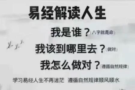 早去世的生命：透视命运背后的故事与人生智慧