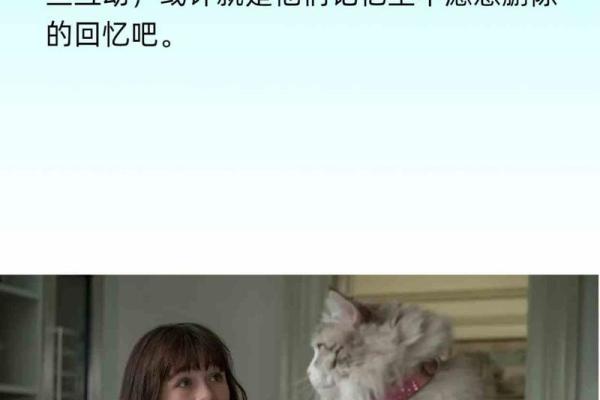 猫咪的九条命：探索猫界的灵异与神秘