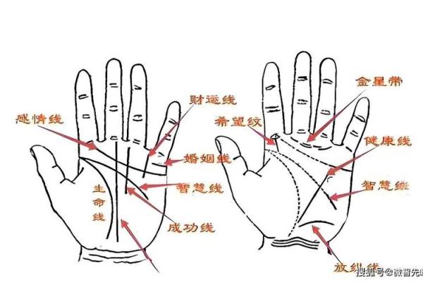 通过手相纹路解析命运，揭示幸福与成功的秘密