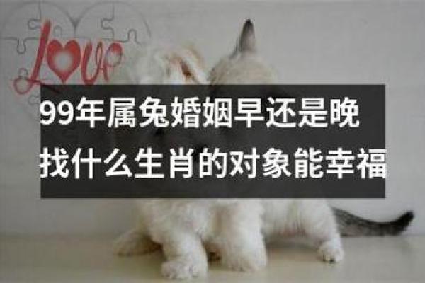 1999年属兔,命运与性格解析,助你更好理解自己 1999年属兔,命运与性格解析,助你更好理解自己