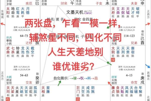 命理分析：不同出生年份的命格揭秘与人生启示