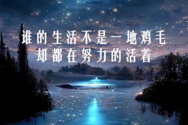 命主决定：把握命运中的每一个瞬间，勇敢追寻梦想