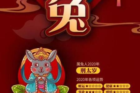 2023年兔年：兔命人的性格特点与生活运势探讨
